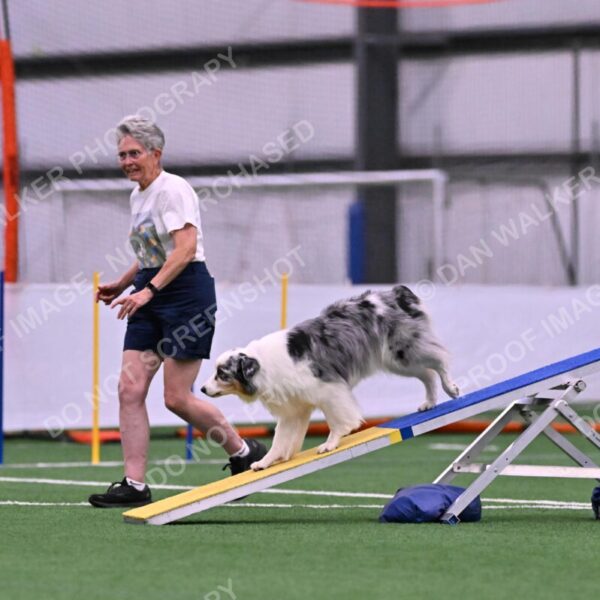 Sunny-Claudia-Brydon-10544