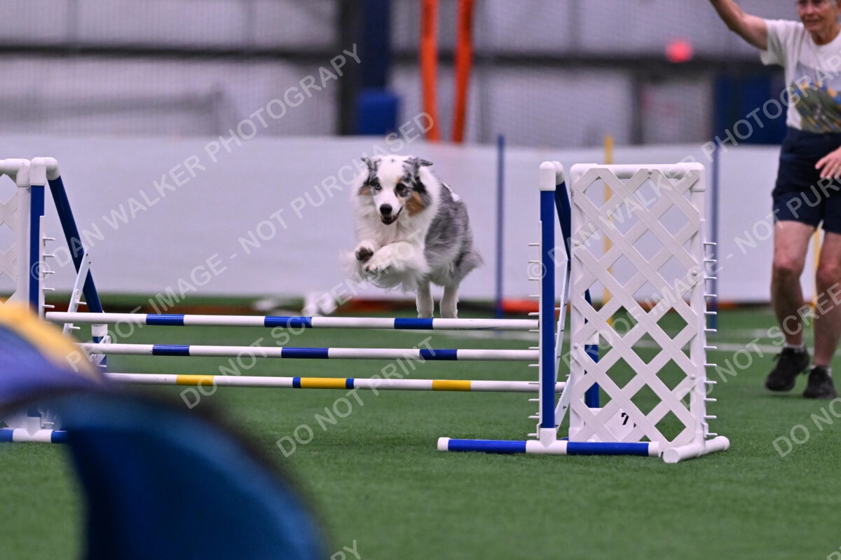 Sunny-Claudia-Brydon-10550