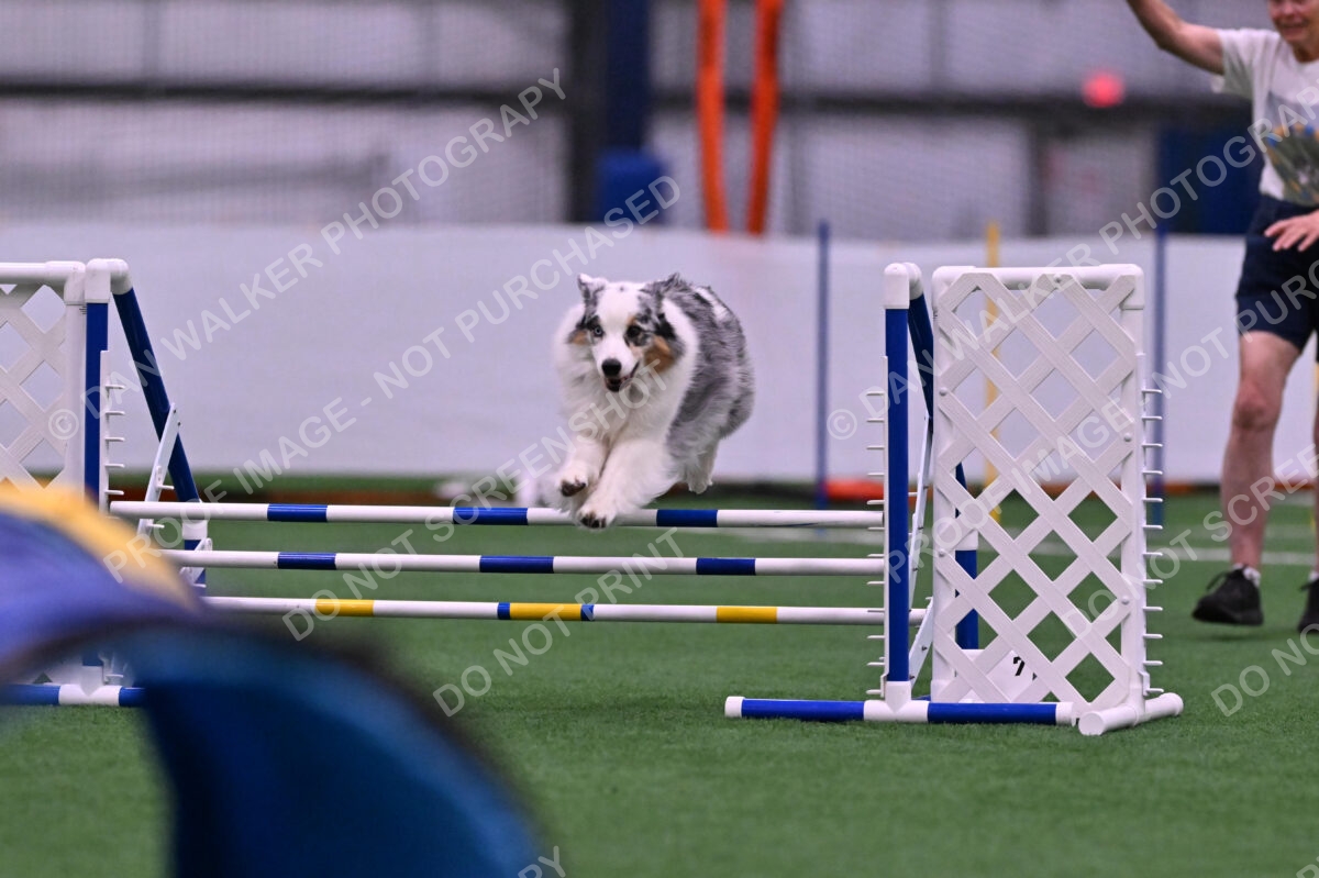 Sunny-Claudia-Brydon-10551