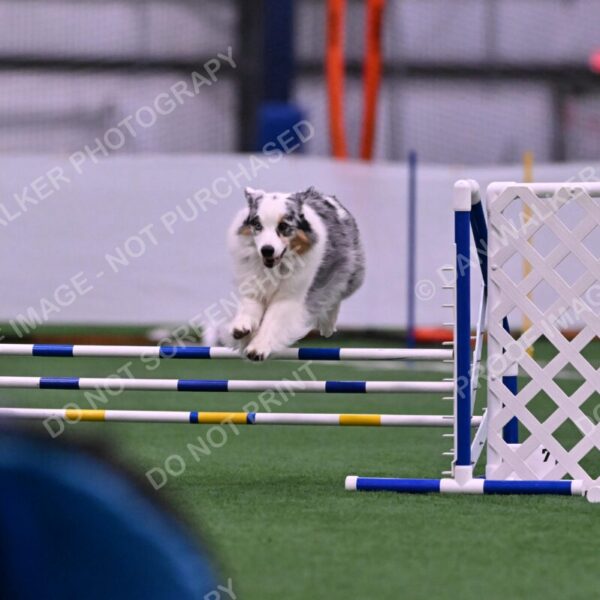 Sunny-Claudia-Brydon-10551