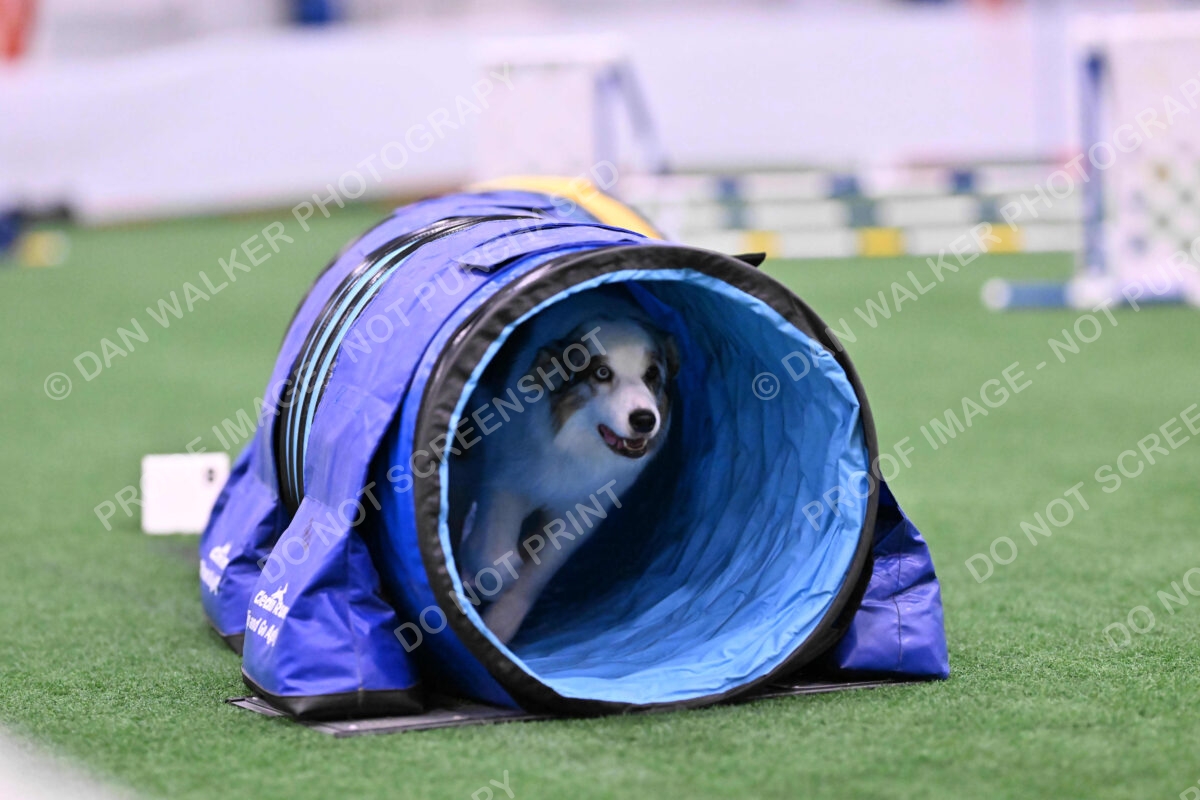 Sunny-Claudia-Brydon-10556