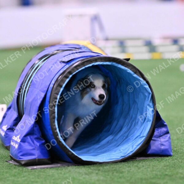 Sunny-Claudia-Brydon-10556