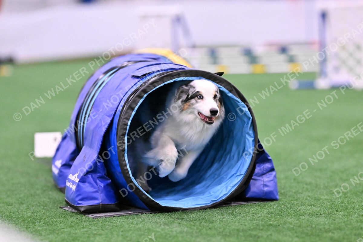 Sunny-Claudia-Brydon-10557