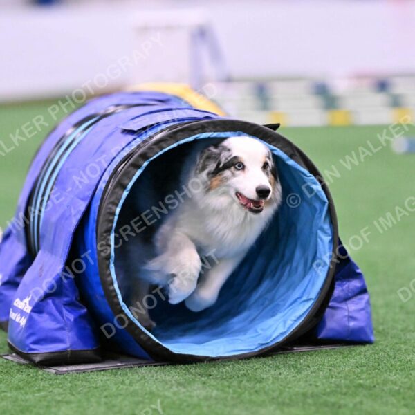 Sunny-Claudia-Brydon-10557