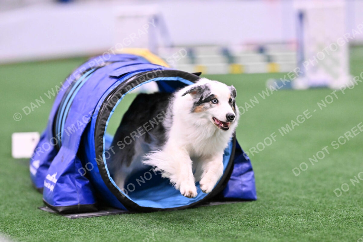 Sunny-Claudia-Brydon-10558