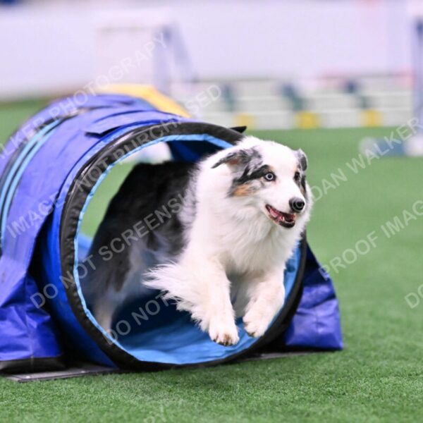 Sunny-Claudia-Brydon-10558