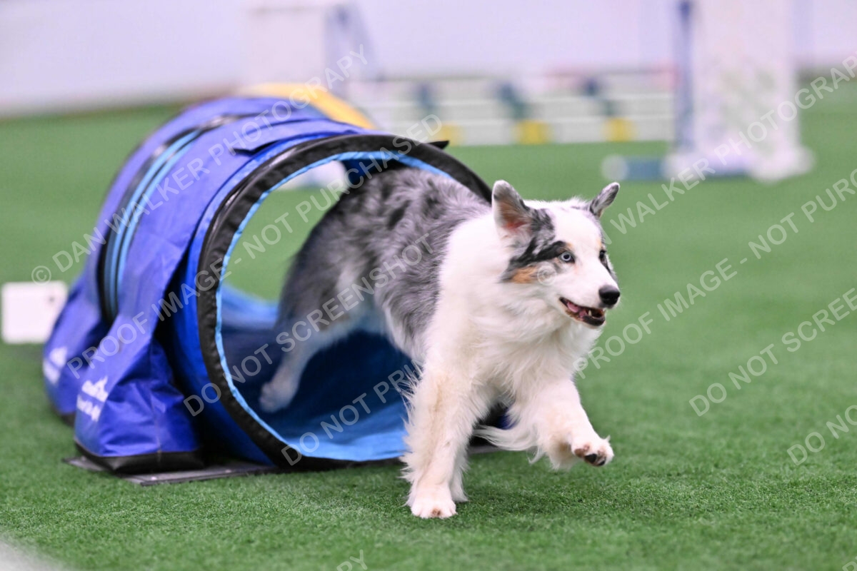 Sunny-Claudia-Brydon-10559