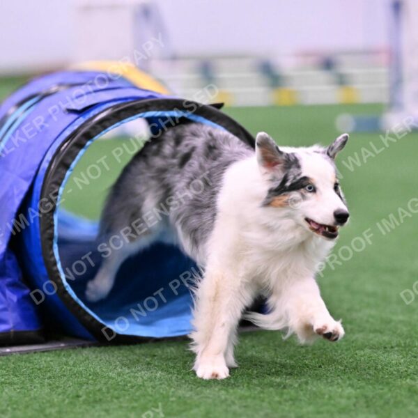 Sunny-Claudia-Brydon-10559