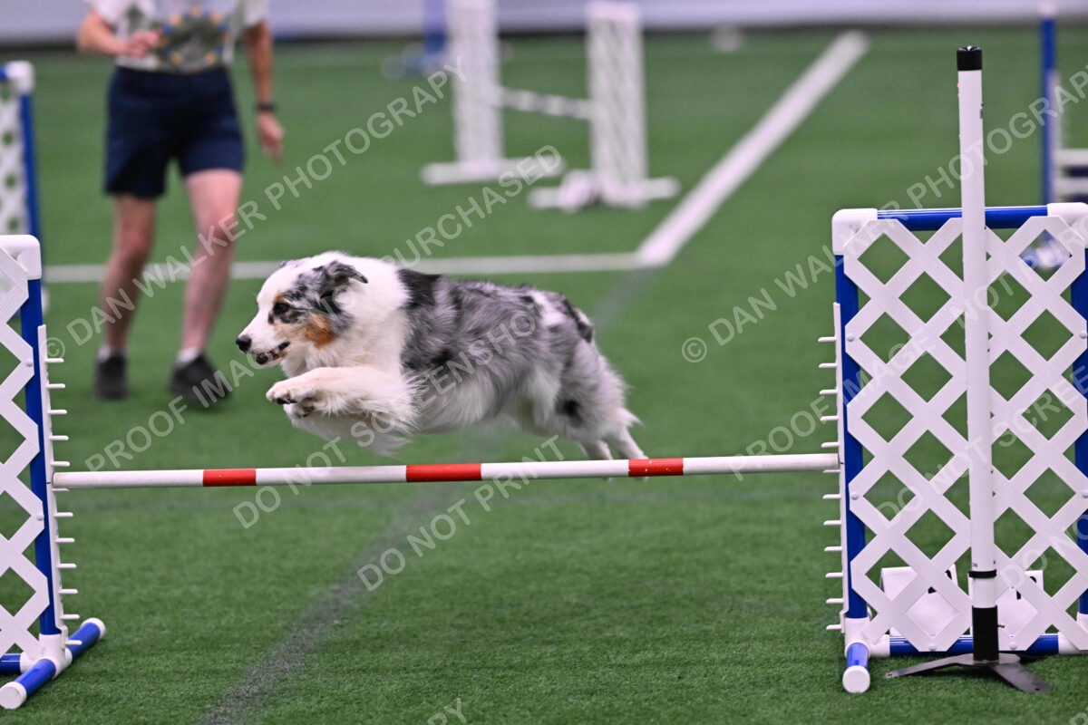 Sunny-Claudia-Brydon-10562