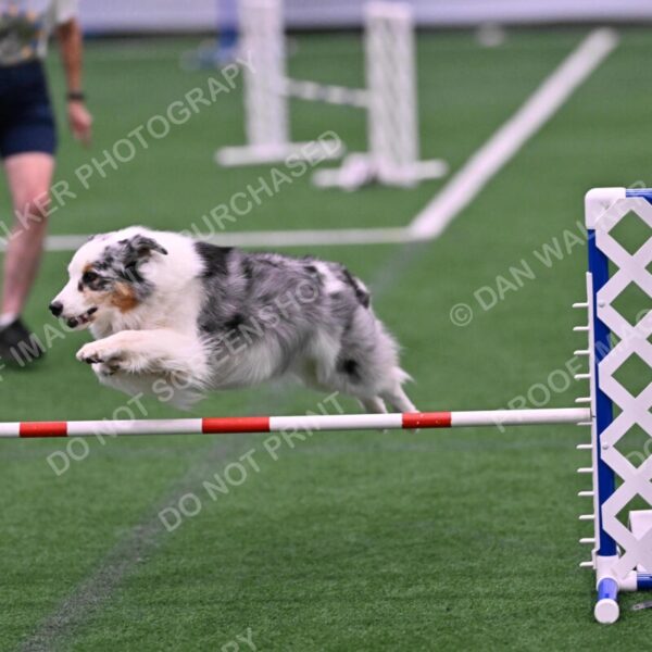 Sunny-Claudia-Brydon-10562