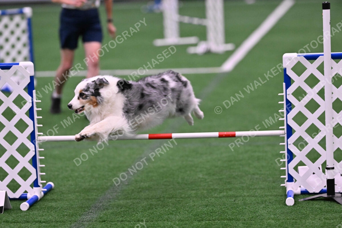 Sunny-Claudia-Brydon-10563