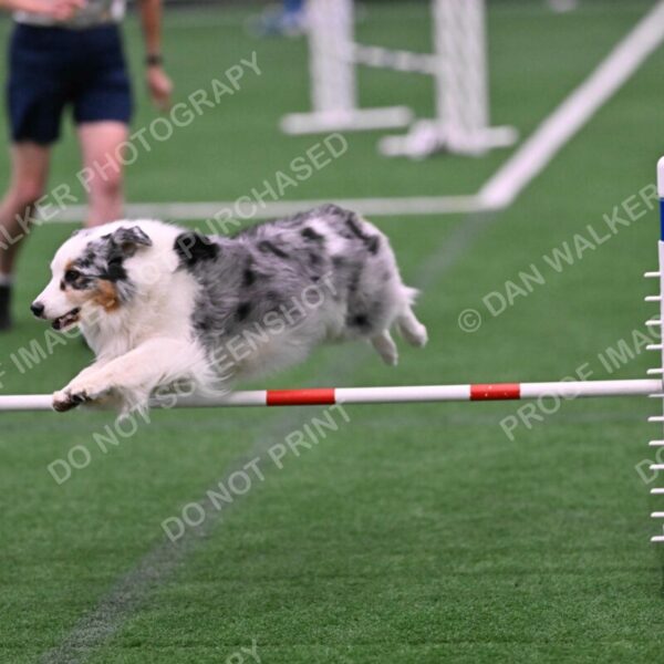 Sunny-Claudia-Brydon-10563