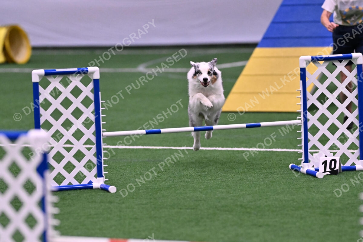 Sunny-Claudia-Brydon-10565