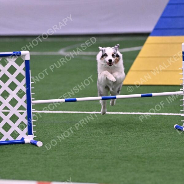 Sunny-Claudia-Brydon-10565