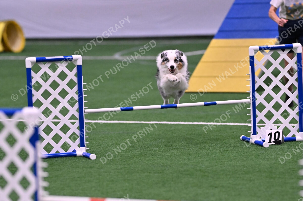 Sunny-Claudia-Brydon-10566