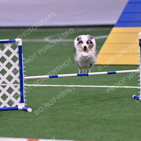 Sunny-Claudia-Brydon-10566