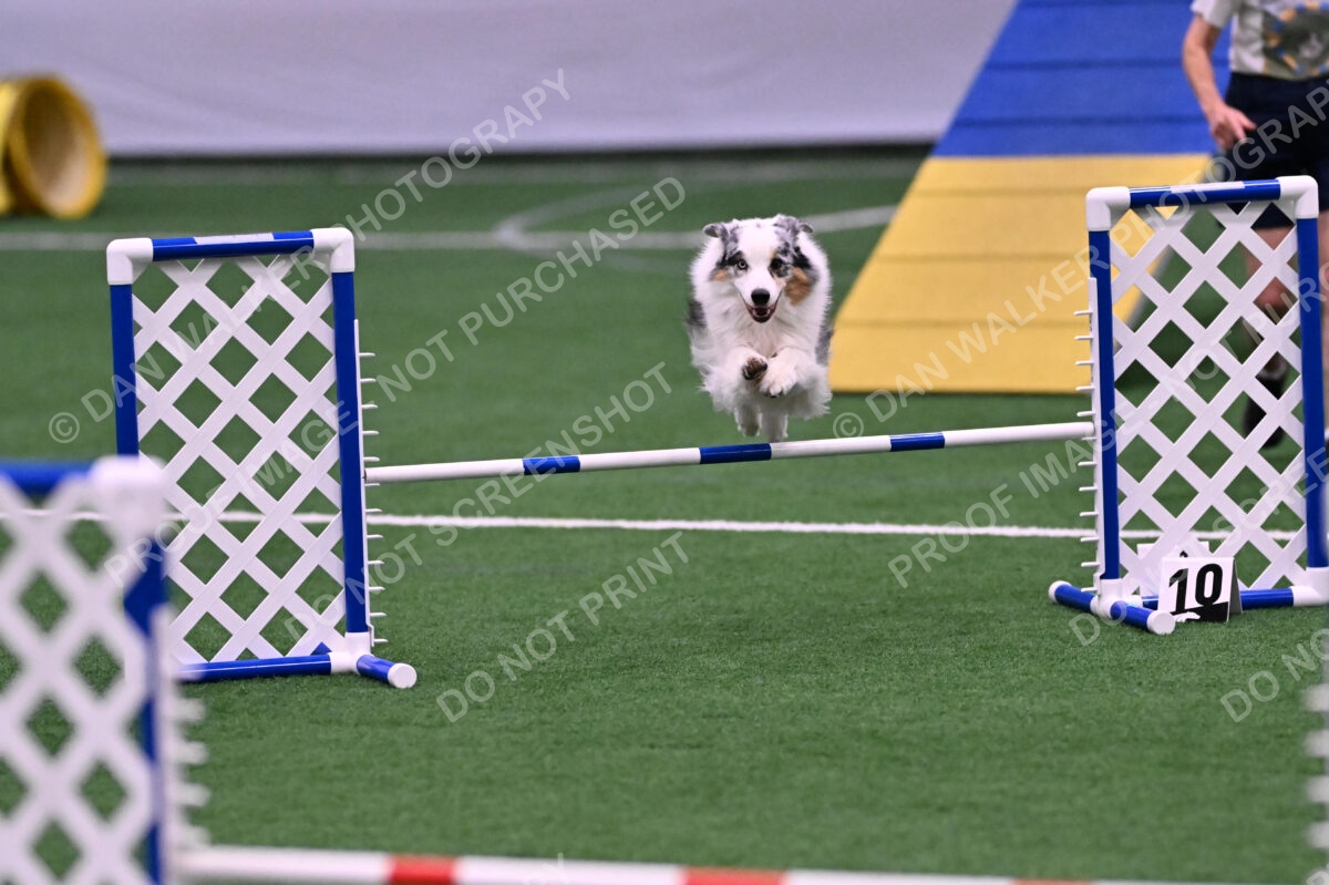 Sunny-Claudia-Brydon-10567