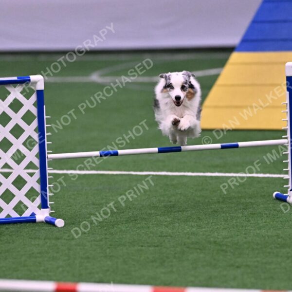 Sunny-Claudia-Brydon-10567