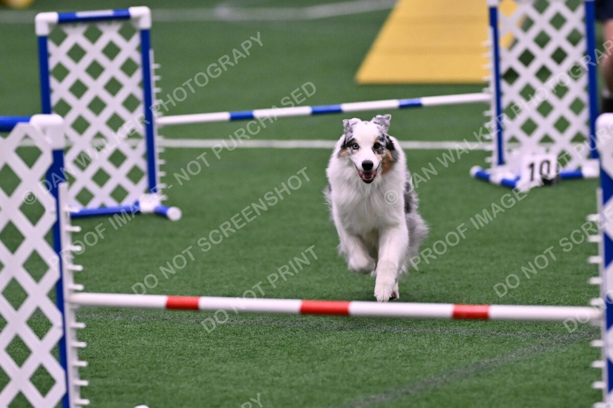 Sunny-Claudia-Brydon-10568