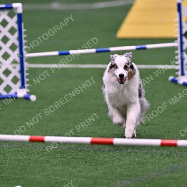 Sunny-Claudia-Brydon-10568