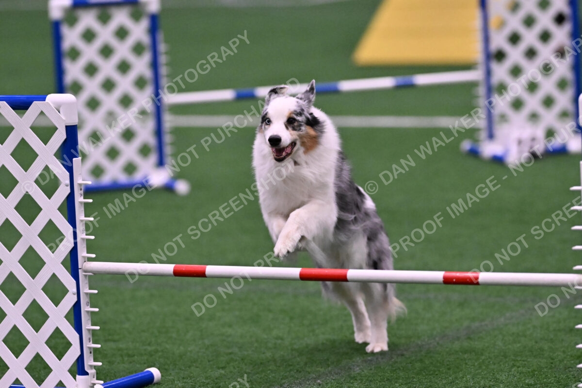 Sunny-Claudia-Brydon-10574