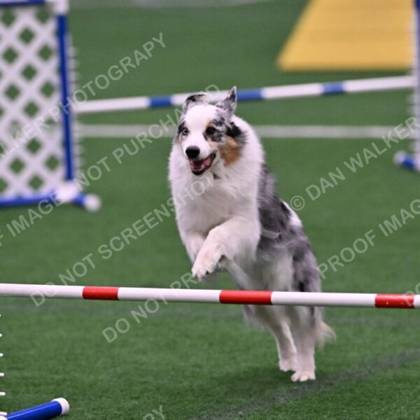 Sunny-Claudia-Brydon-10574