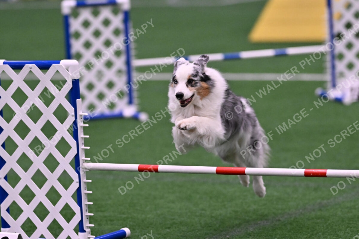 Sunny-Claudia-Brydon-10575