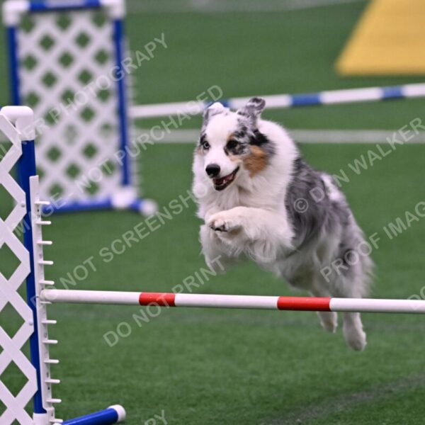 Sunny-Claudia-Brydon-10575