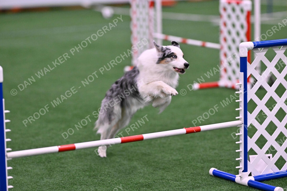 Sunny-Claudia-Brydon-10580