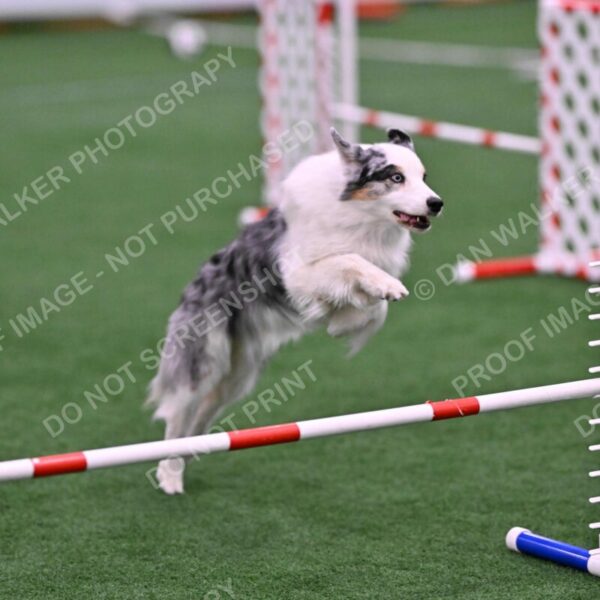 Sunny-Claudia-Brydon-10580