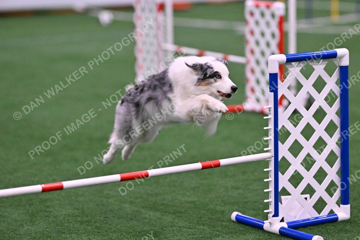 Sunny-Claudia-Brydon-10581