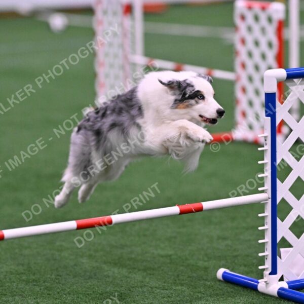 Sunny-Claudia-Brydon-10581