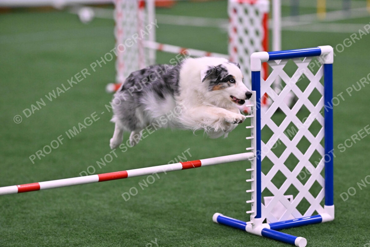 Sunny-Claudia-Brydon-10582