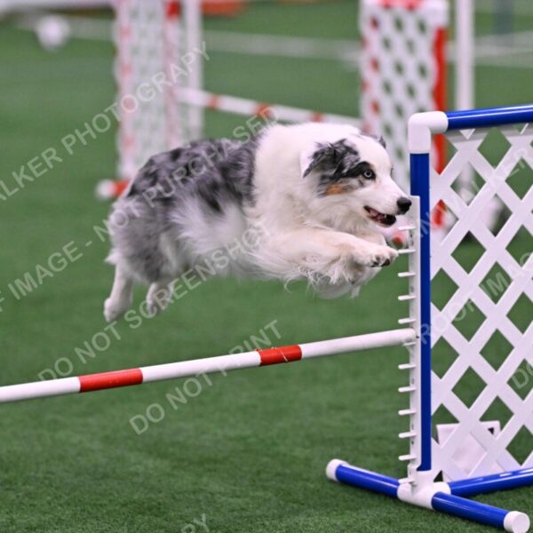 Sunny-Claudia-Brydon-10582