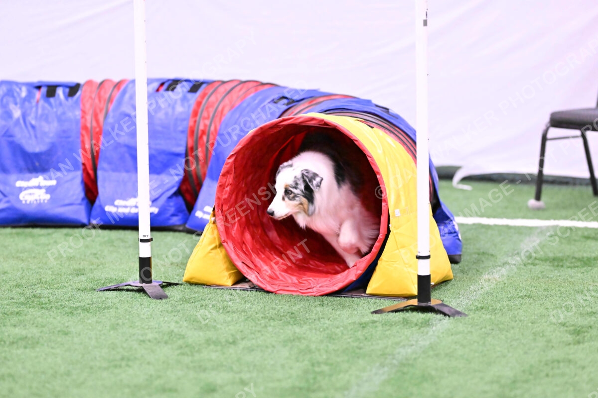 Sunny-Claudia-Brydon-10587