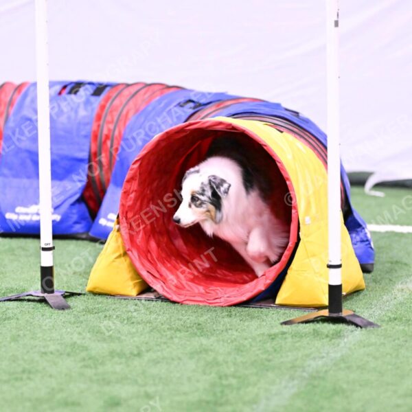 Sunny-Claudia-Brydon-10587