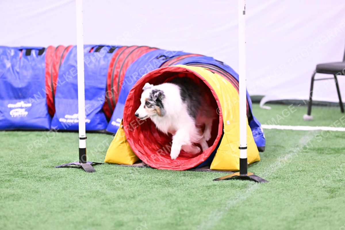 Sunny-Claudia-Brydon-10588