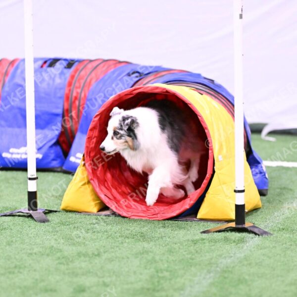 Sunny-Claudia-Brydon-10588