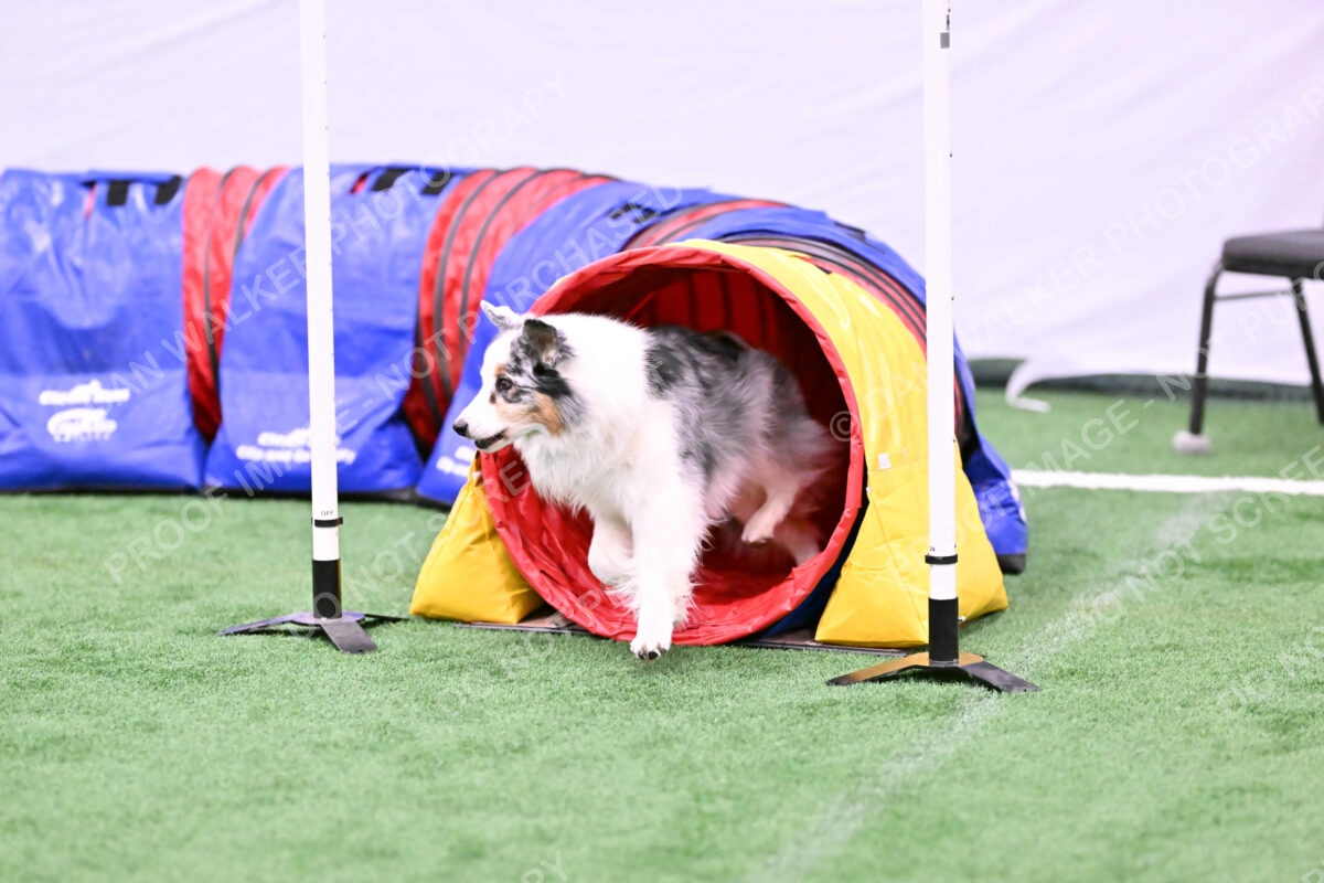 Sunny-Claudia-Brydon-10589