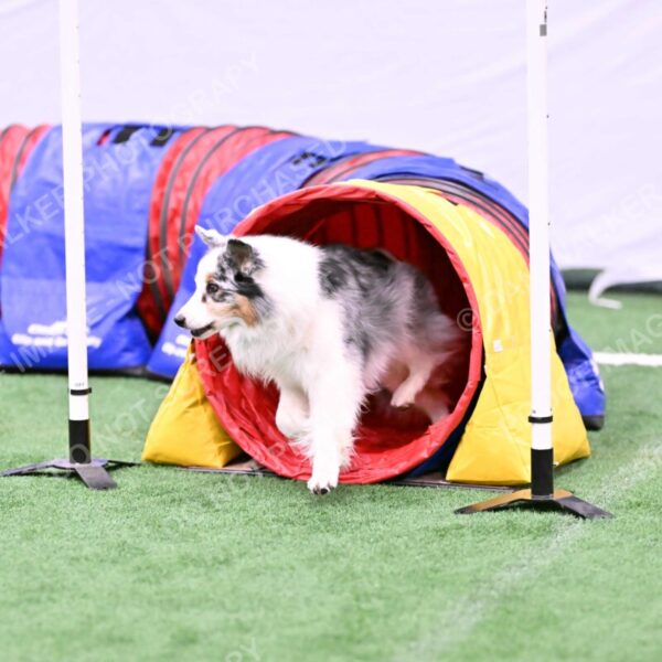 Sunny-Claudia-Brydon-10589