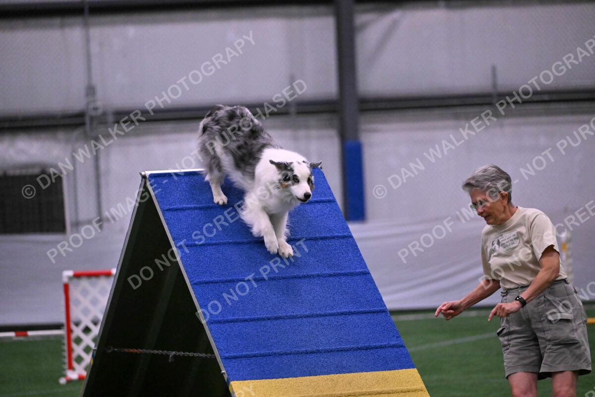 Sunny-Claudia-Brydon-10590