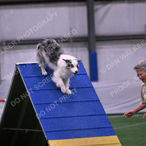 Sunny-Claudia-Brydon-10590