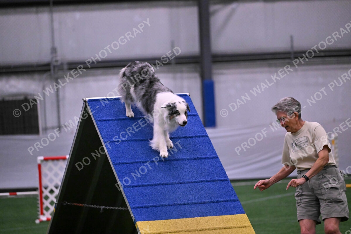 Sunny-Claudia-Brydon-10591