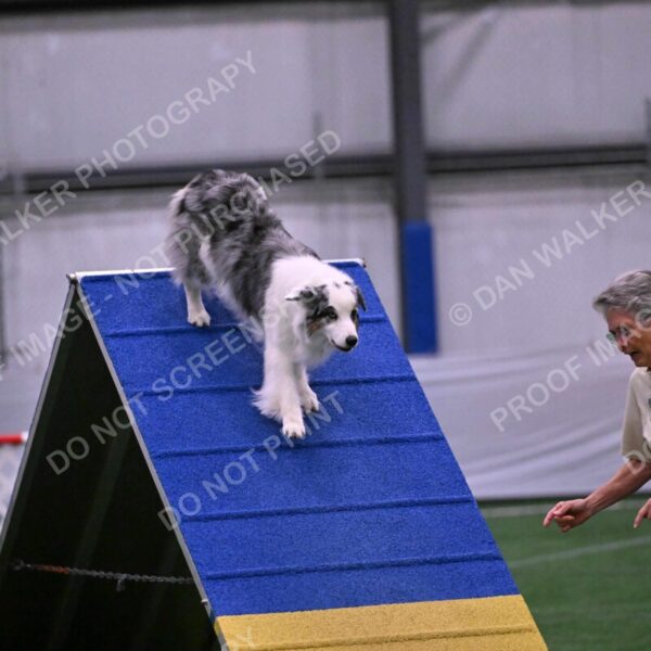 Sunny-Claudia-Brydon-10591