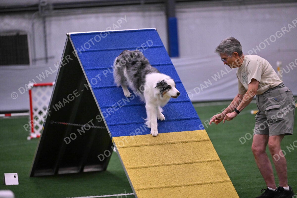 Sunny-Claudia-Brydon-10592