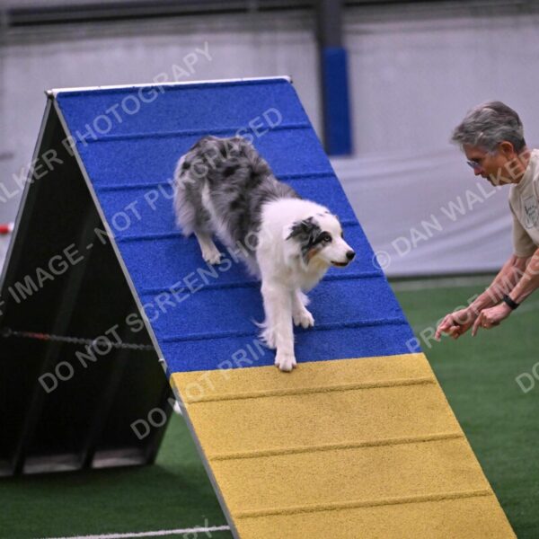 Sunny-Claudia-Brydon-10592