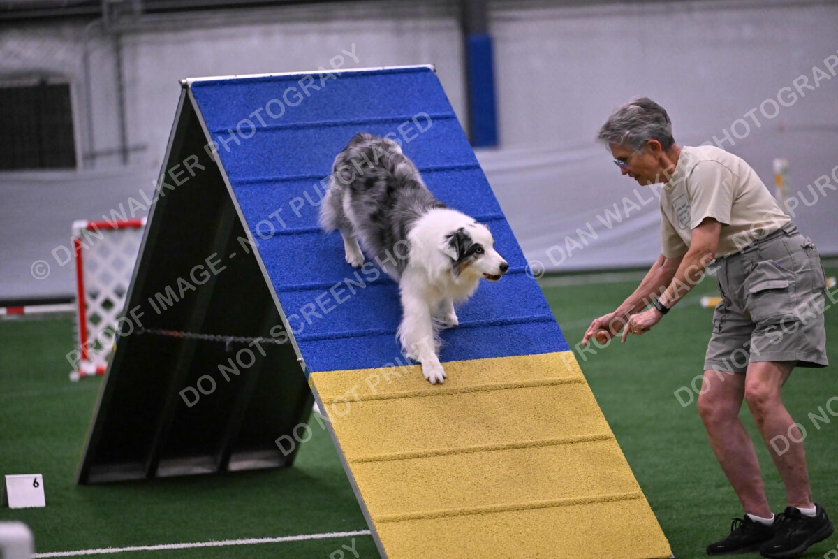 Sunny-Claudia-Brydon-10593