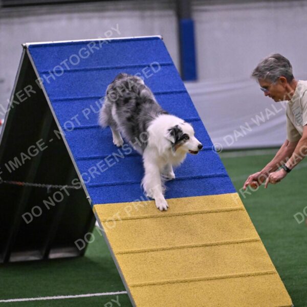 Sunny-Claudia-Brydon-10593