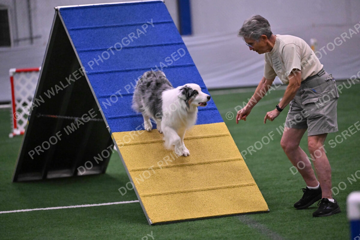 Sunny-Claudia-Brydon-10594