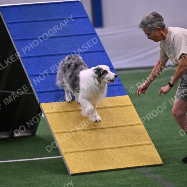 Sunny-Claudia-Brydon-10594